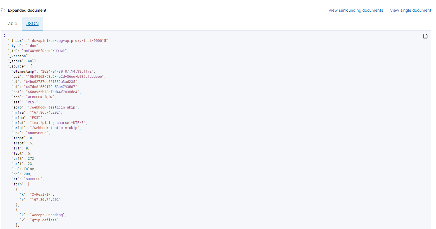 JSON Format
