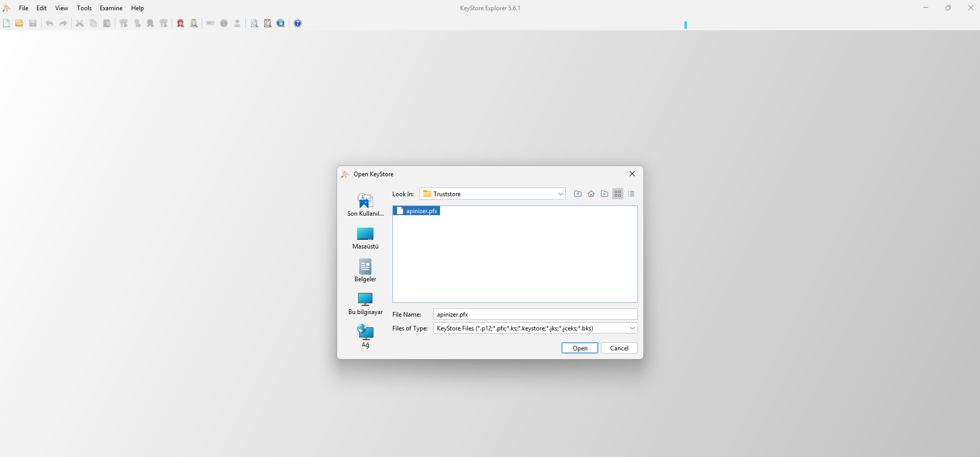 Selecting the truststore file with File Open