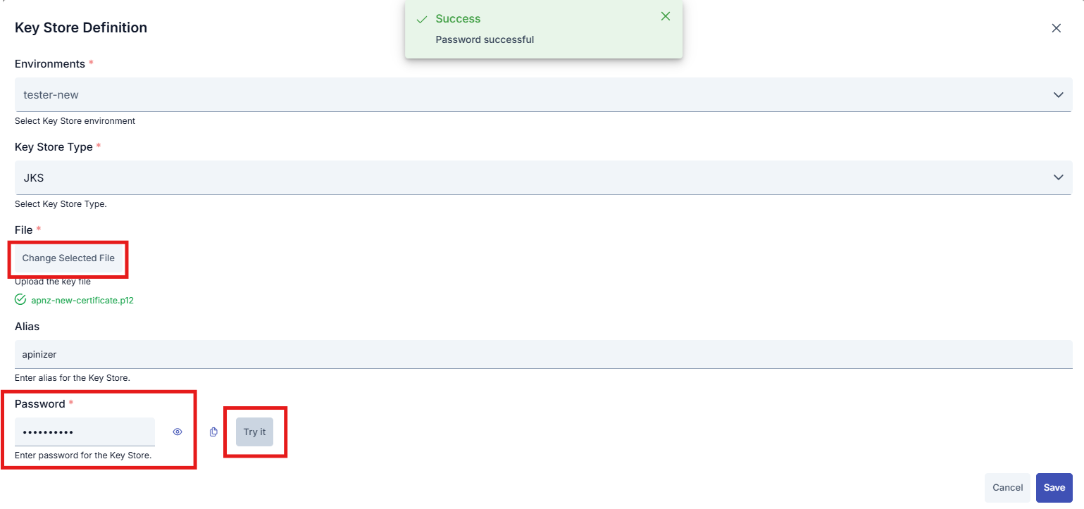 Key Store Definition with file, password, and Try it