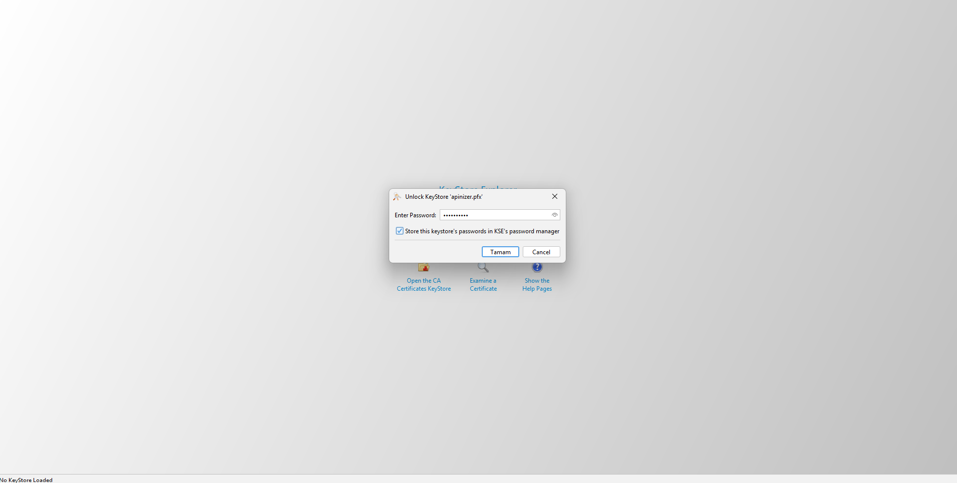 Unlock KeyStore password dialog