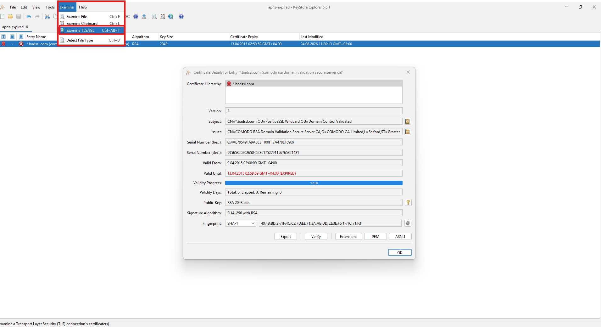 Examine TLS/SSL in the Examine menu