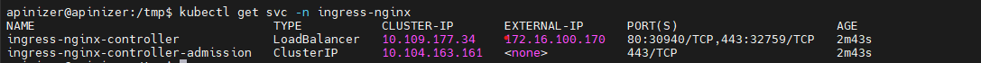 NGINX Service External IP